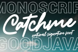 Catchme: A Playful Script Font for Bold Marketing