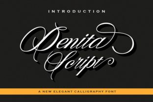 Denita: A Premium Script Font for Campaigns