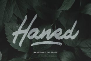 Haned: A Strong Script Font for Modern Web Design