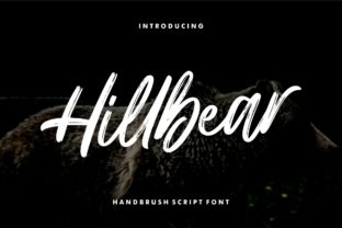 Hillbear: A Real-World Review for Designers