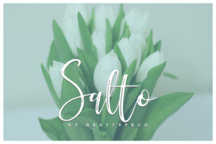 Salto: A Dynamic Script Font for Campaigns