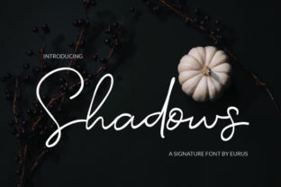 Shadows: A Bold Script Font for Branding
