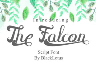 The Falcon: A Real-World Design Review
