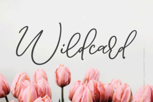 Wildcard: A Modern Calligraphy Font for Your Brand